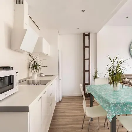 Penthouse San Miguel St Centr Terrace 토레몰리노스